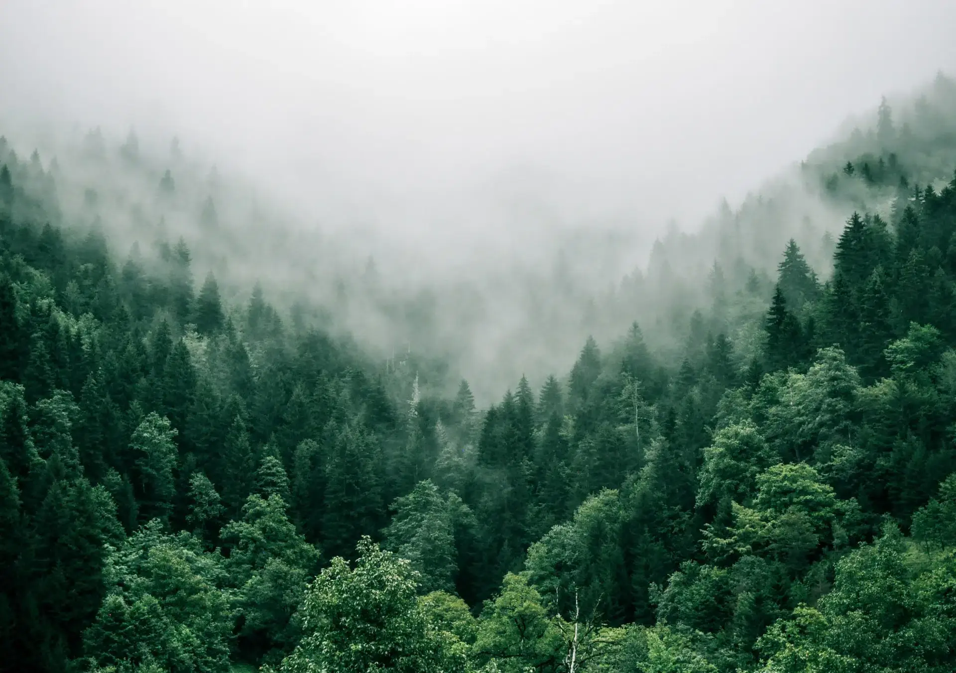 Pioneering Sustainable Biotechnology