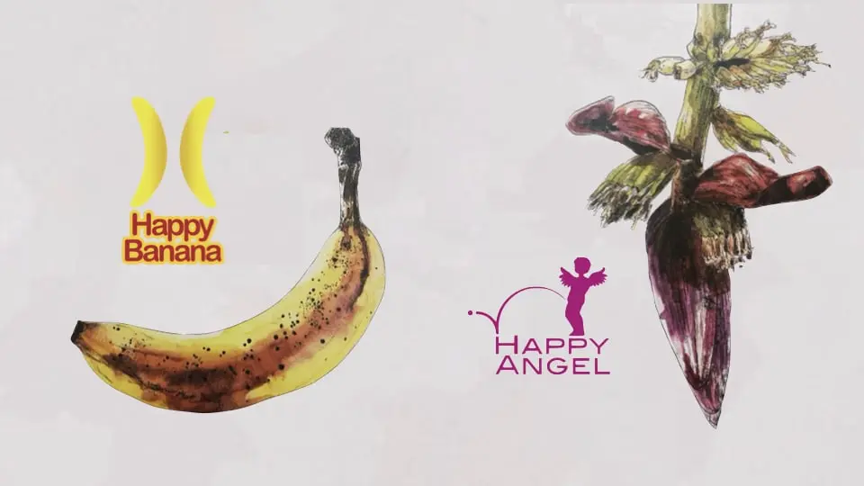 TCI's Happy Banana and Happy Angel have received clearance by the FDA.