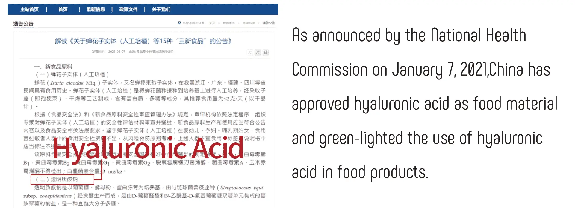 Ongoing Hyaluronic Acid Food
