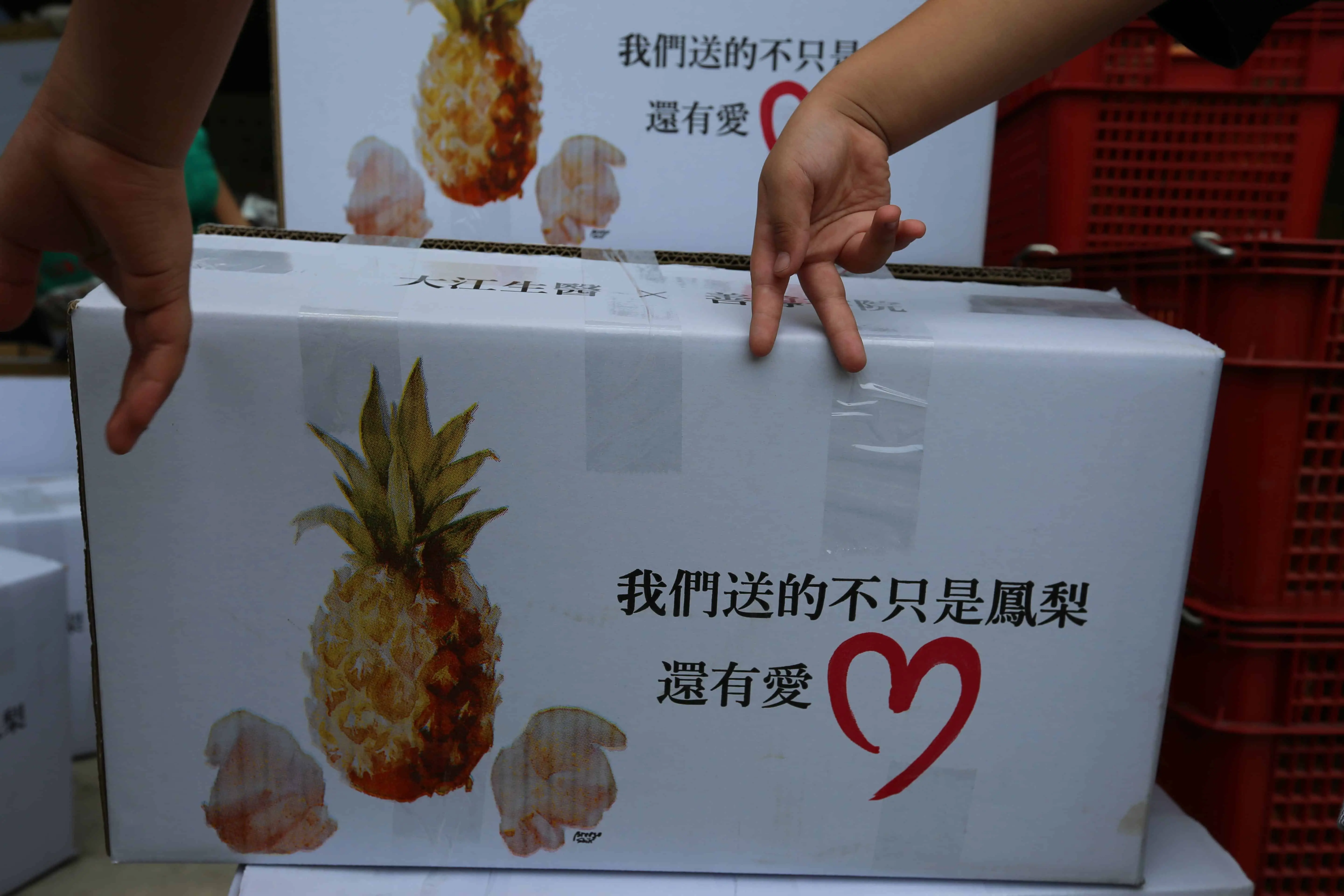 TCI 大江生醫做公益 採購屏東善導書院鳳梨8千顆