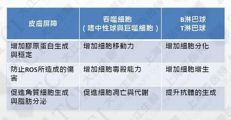 打擊病原體，免疫提升大作戰