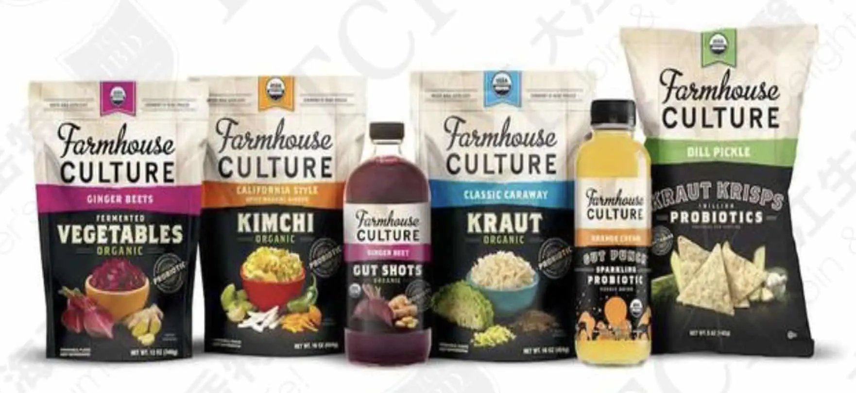 Probiotics, Penetrating Every Part of Our Life