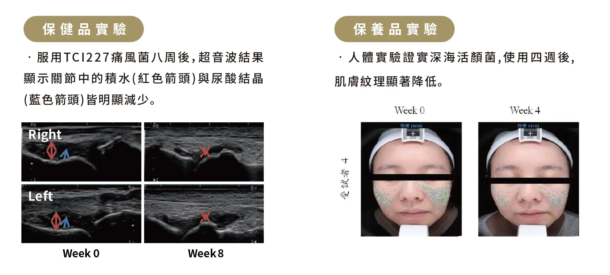 千億銷售的秘密-功能型益生菌