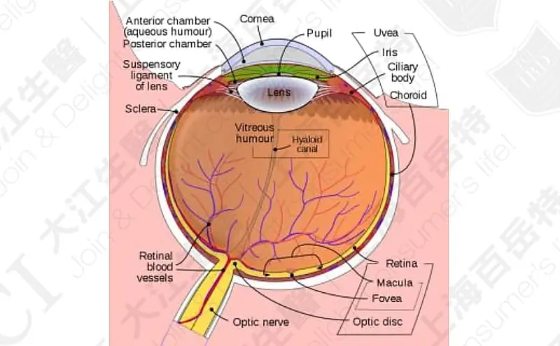 Eye Care, To 