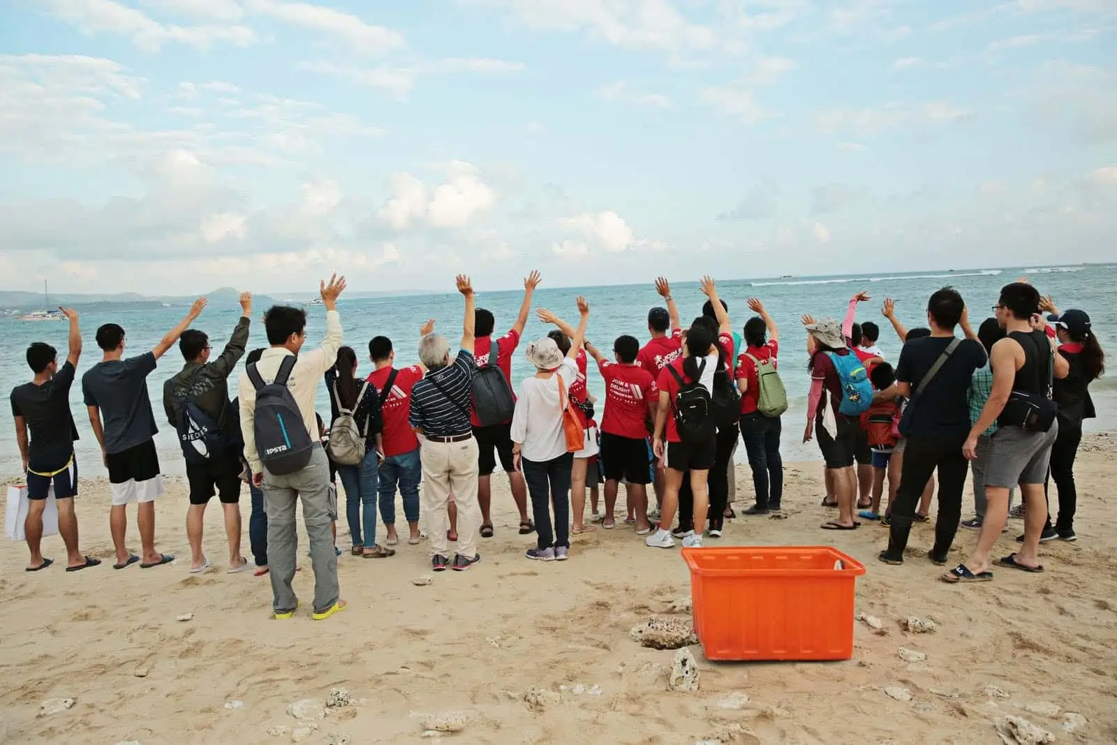 TCI Devotes to Marine Conservation: Releasing Sea Turtles to the Wild with National Museum of Marine Biology & Aquarium