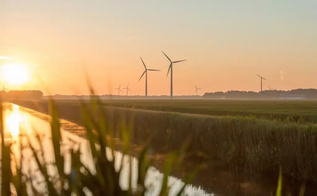 TCI Leads the Global ESG Wave: Transforming Sustainability into Core Competitiveness with Top International Accolades