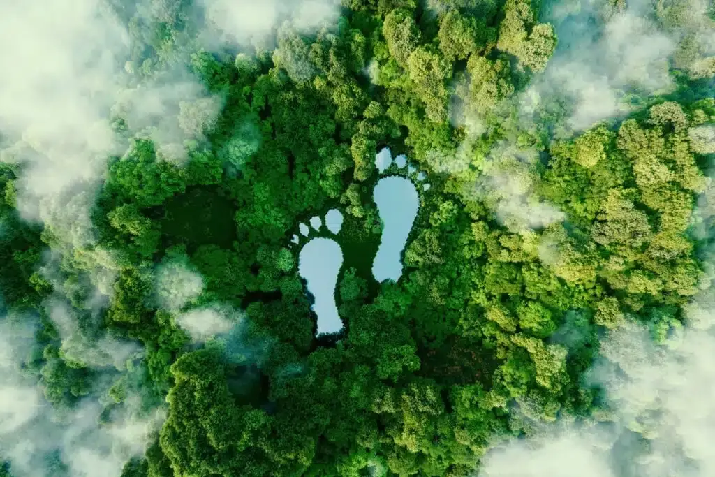 Global Sustainability Revolution Hits Biotech: TCI Leads the Way with Product Carbon Footprints