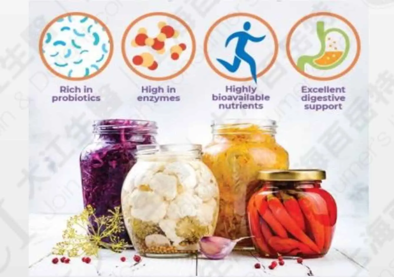 Probiotics, Penetrating Every Part of Our Life