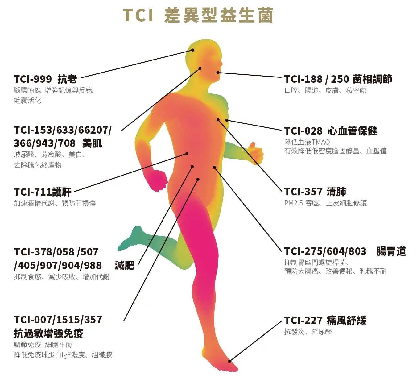 千億銷售的秘密-功能型益生菌
