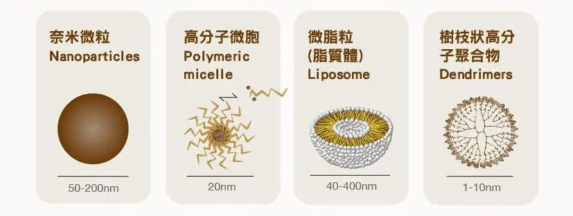 Liposome, Small in Size, Large in Contribution